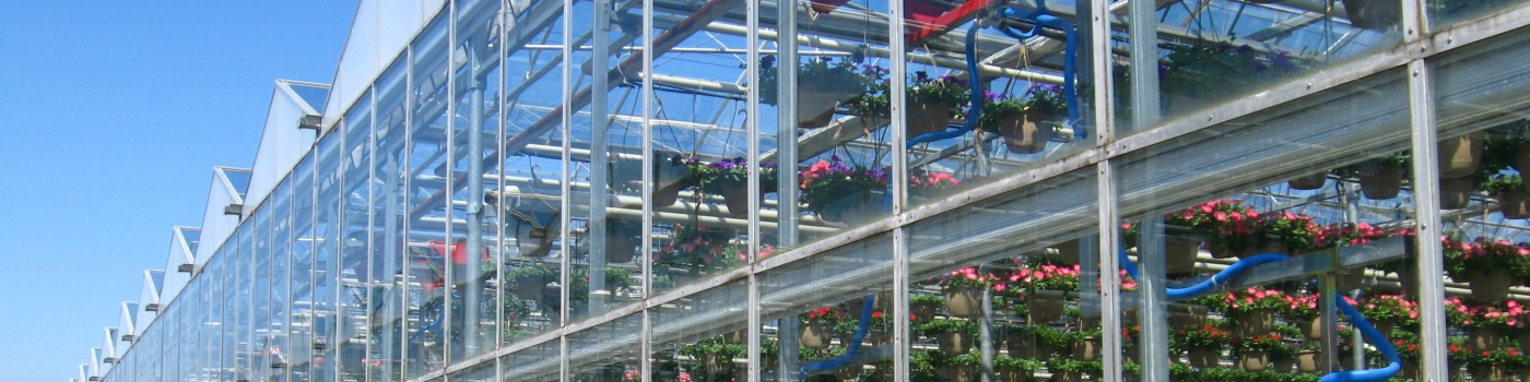 greenhouse